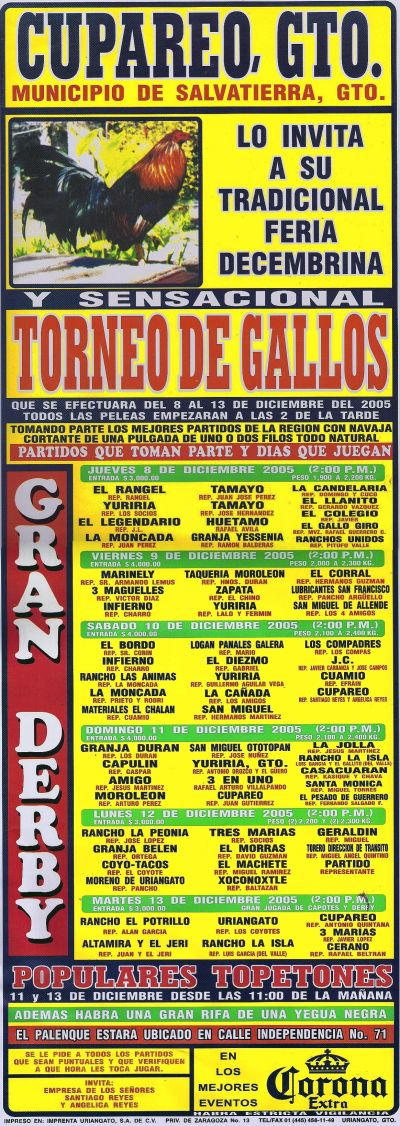 Torneo de Gallos en Cupareo